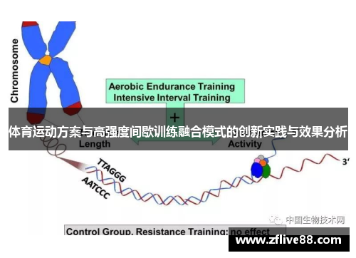 体育运动方案与高强度间歇训练融合模式的创新实践与效果分析
